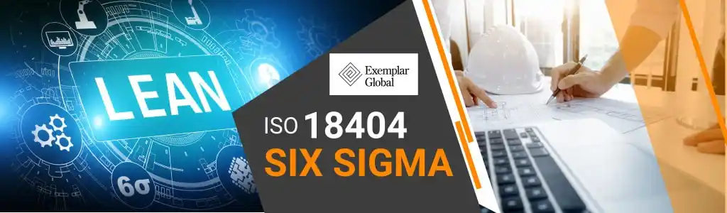 six sigma program